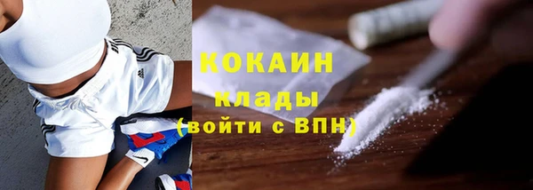 стафф Бронницы