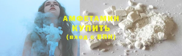 шишки Верхний Тагил