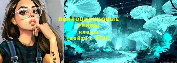 ПСИЛОЦИБИНОВЫЕ ГРИБЫ Володарск