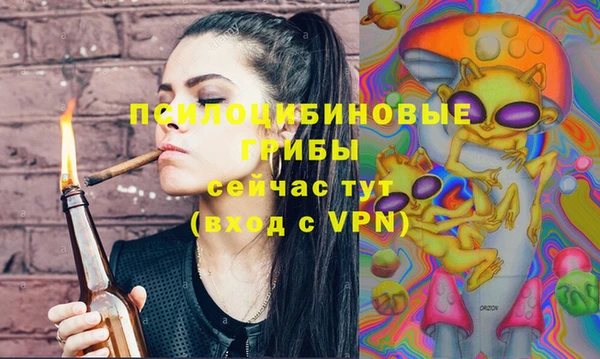 шишки Верхний Тагил